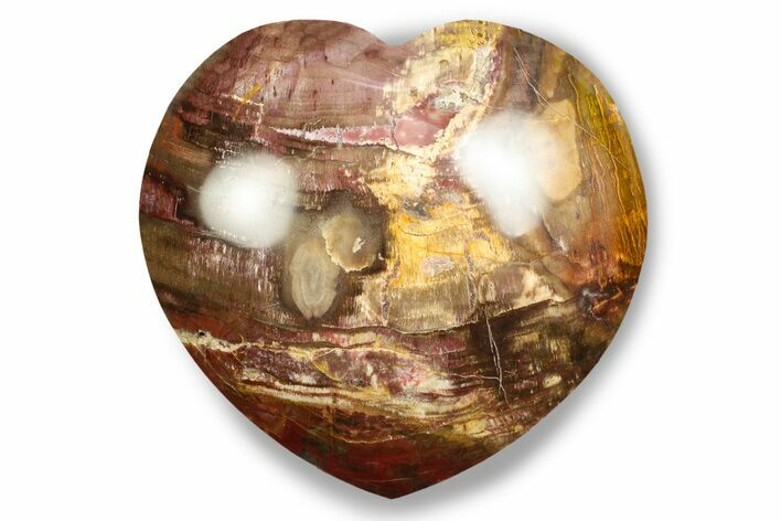 Polished Triassic Petrified Wood Heart - Madagascar #246090